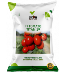 Tomato F1 Titan 19 - 50 grams